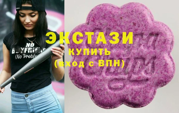 гашик Кулебаки
