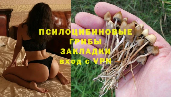 крисы Куйбышев