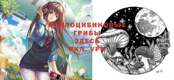 гашик Кулебаки