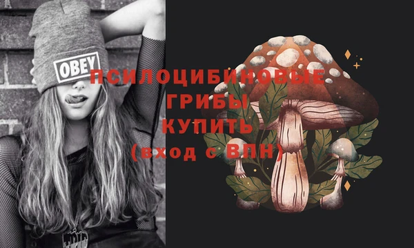гашик Кулебаки