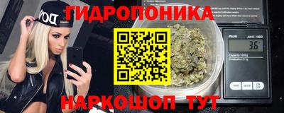 гашик Волжск