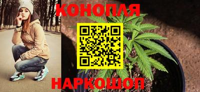 стаф Волгодонск