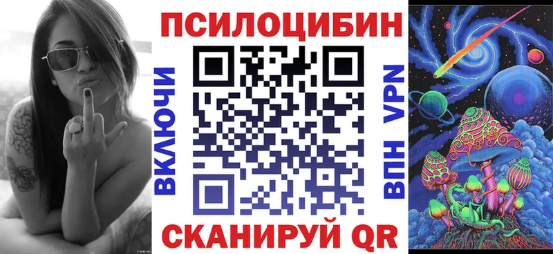 где купить наркоту  Люберцы  Псилоцибиновые грибы мицелий 