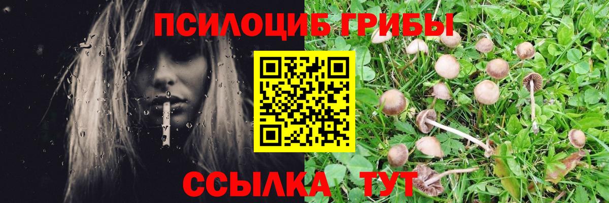 Псилоцибиновые грибы мицелий Люберцы